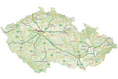Poukaz na focení psů v ateliéru
