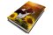 E-BOOK: Jak připravit pejska na fotografování ZDARMA