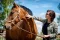 FOTO VÝLET: Hřebčín Andaluz La Alessandra