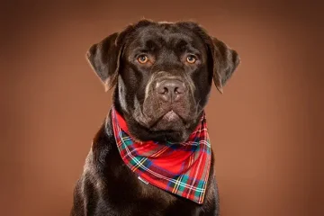 Nedělní fotografování