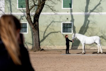 PRAKTICKÝ KURZ: NH Kladruby