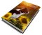 E-BOOK: Jak připravit pejska na fotografování ZDARMA