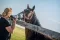 FOTO VÝLET: DS Darhorse
