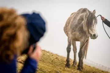 FOTO VÝLET: Farma Zaječice