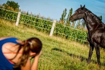 FOTO VÝLET: Rodinná stáj Žandov