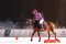Snow Polo 2024