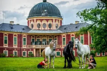 FOTO VÝLET: JS Dámy v sedle