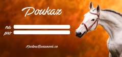 Poukaz na focení koní