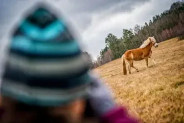 FOTO VÝLET: Farma v Podještědí