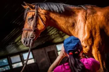 FOTO VÝLET: Rodinná stáj Slabce