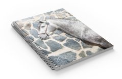 Diář pro fotografy koní 2026