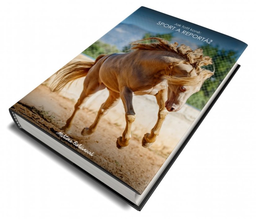 E-BOOK: Sport a reportáž