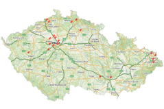 Poukaz na focení psů v exteriéru