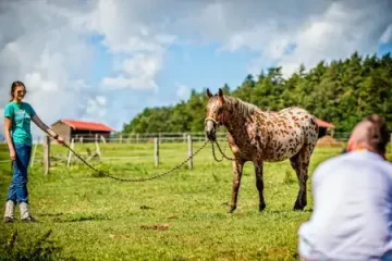 FOTO VÝLET: Ranč Jestřebice
