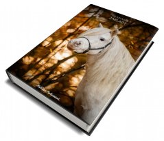 E-BOOK: Základy