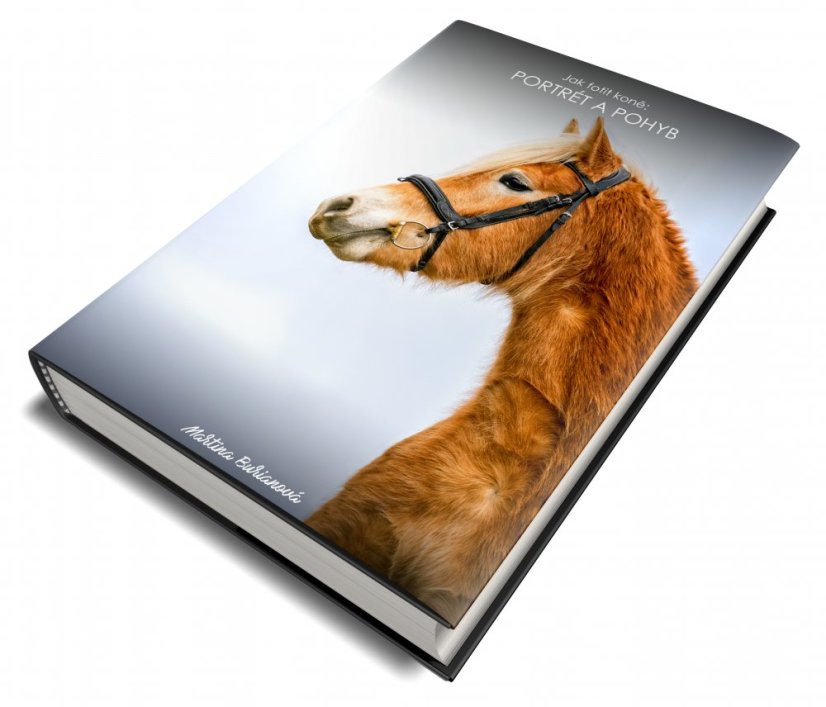 E-BOOK: Portrét a pohyb