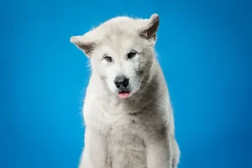 Čtvrteční fotografování