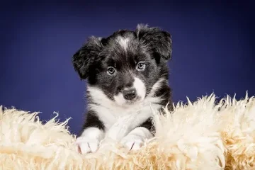 Nedělní fotografování