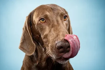 Páteční fotografování