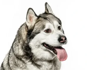 Sobotní fotografování