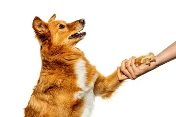 Nedělní fotografování