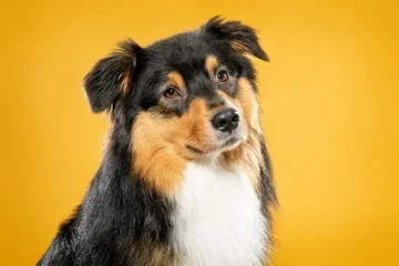 Sobotní fotografování