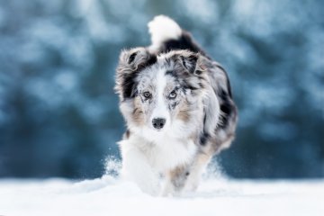 "Jestli únor honí mraky, staví březen sněhuláky."