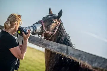 FOTO VÝLET: DS Darhorse