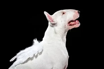 Sobotní fotografování