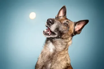 Středeční fotografování