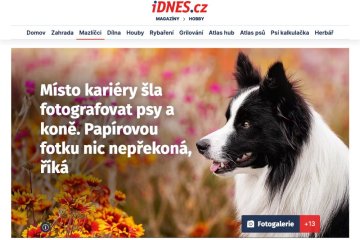 NAPSALI O NÁS: iDnes