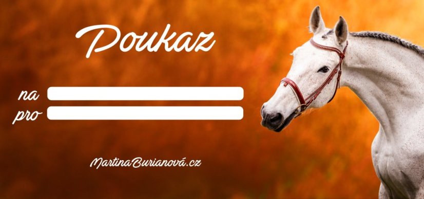 Poukaz na focení koní