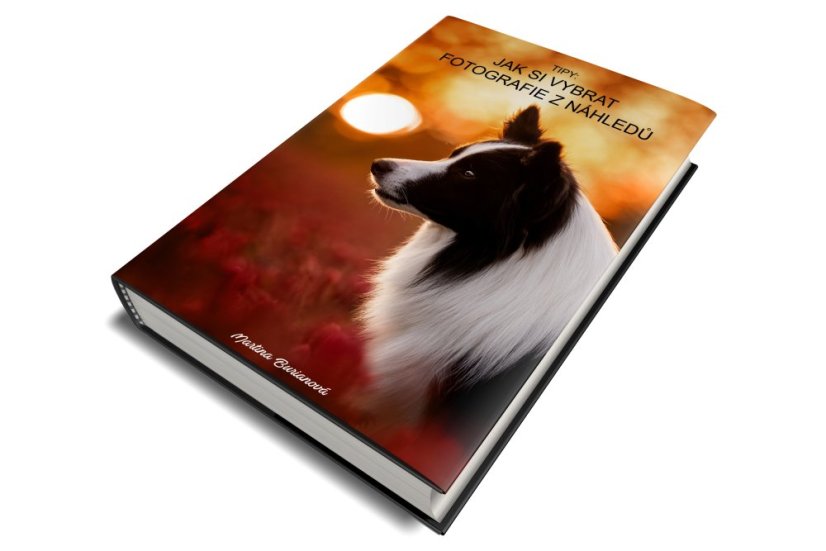 E-BOOK: Jak si vybrat fotografie z náhledů