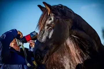 PRAKTICKÝ KURZ: Fotografování koní